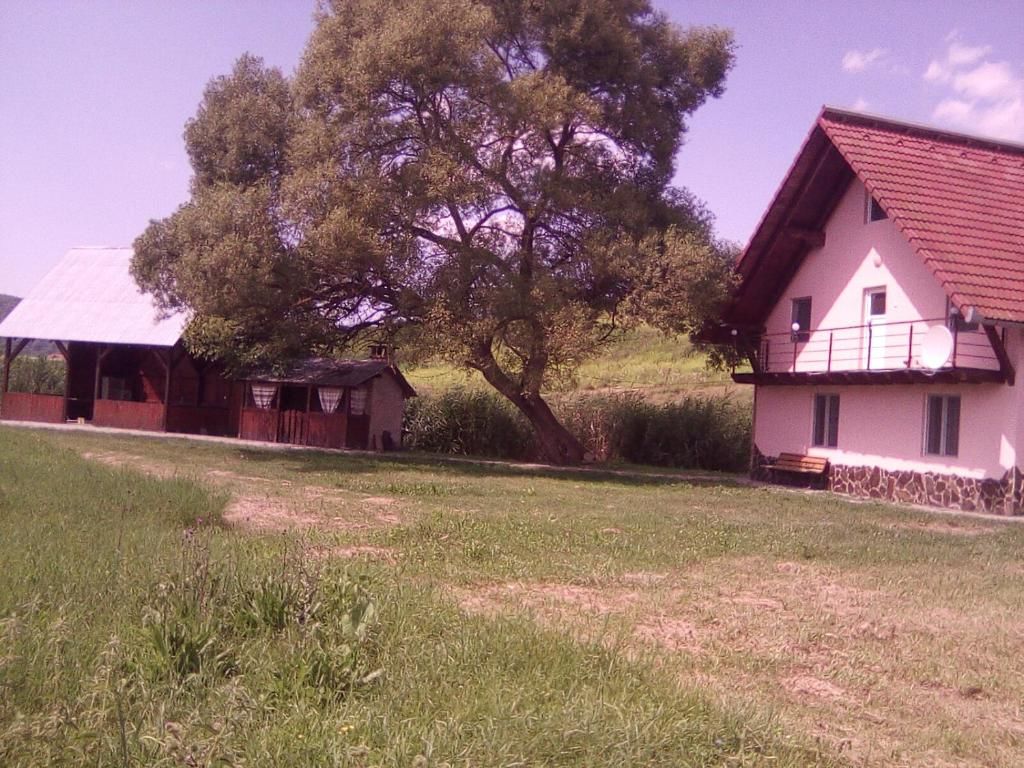 Дома для отпуска Casă de vacanță Şaeş-46