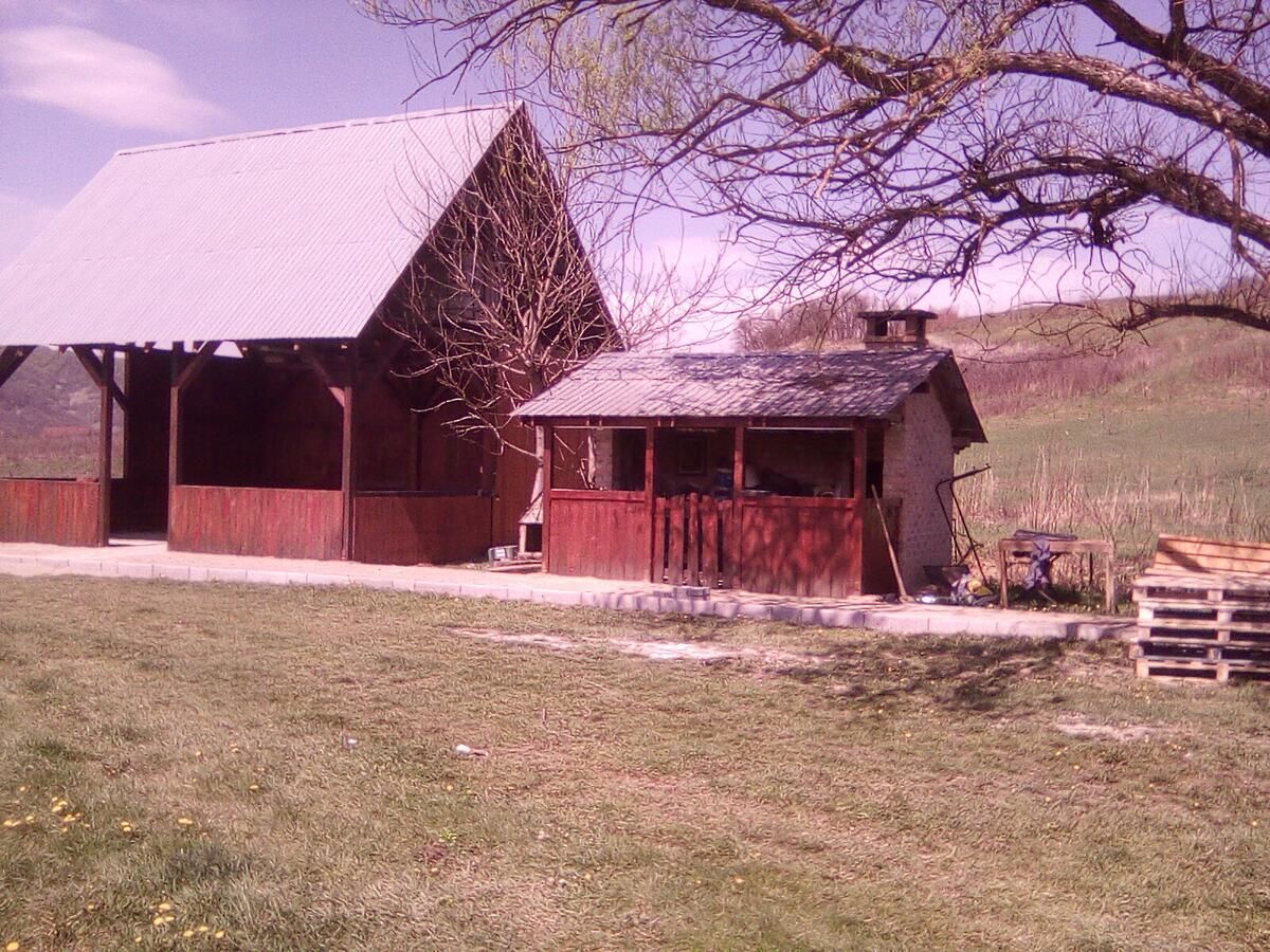 Дома для отпуска Casă de vacanță Şaeş-9